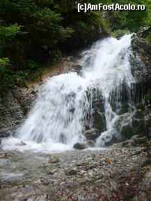 [P15] Cea mai frumoasa cascada din amonte » foto by Claudiu U.
 - 
<span class="allrVoted glyphicon glyphicon-heart hidden" id="av244075"></span>
<a class="m-l-10 hidden" id="sv244075" onclick="voting_Foto_DelVot(,244075,9594)" role="button">șterge vot <span class="glyphicon glyphicon-remove"></span></a>
<a id="v9244075" class=" c-red"  onclick="voting_Foto_SetVot(244075)" role="button"><span class="glyphicon glyphicon-heart-empty"></span> <b>LIKE</b> = Votează poza</a> <img class="hidden"  id="f244075W9" src="/imagini/loader.gif" border="0" /><span class="AjErrMes hidden" id="e244075ErM"></span>