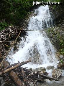 [P18] Aceeasi frumoasa cascada, vazuta de pe malul opus » foto by Claudiu U.
 - 
<span class="allrVoted glyphicon glyphicon-heart hidden" id="av244079"></span>
<a class="m-l-10 hidden" id="sv244079" onclick="voting_Foto_DelVot(,244079,9594)" role="button">șterge vot <span class="glyphicon glyphicon-remove"></span></a>
<a id="v9244079" class=" c-red"  onclick="voting_Foto_SetVot(244079)" role="button"><span class="glyphicon glyphicon-heart-empty"></span> <b>LIKE</b> = Votează poza</a> <img class="hidden"  id="f244079W9" src="/imagini/loader.gif" border="0" /><span class="AjErrMes hidden" id="e244079ErM"></span>