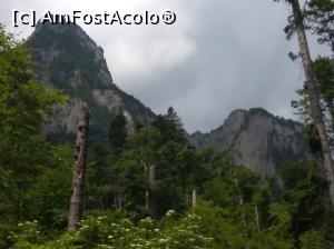 [P12] Copaci rupți la jumate, Bucegi » foto by Mioritik
 - 
<span class="allrVoted glyphicon glyphicon-heart hidden" id="av1234295"></span>
<a class="m-l-10 hidden" id="sv1234295" onclick="voting_Foto_DelVot(,1234295,9594)" role="button">șterge vot <span class="glyphicon glyphicon-remove"></span></a>
<a id="v91234295" class=" c-red"  onclick="voting_Foto_SetVot(1234295)" role="button"><span class="glyphicon glyphicon-heart-empty"></span> <b>LIKE</b> = Votează poza</a> <img class="hidden"  id="f1234295W9" src="/imagini/loader.gif" border="0" /><span class="AjErrMes hidden" id="e1234295ErM"></span>