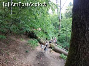 [P23] Copii în excursie la Urlătoarea » foto by Mioritik
 - 
<span class="allrVoted glyphicon glyphicon-heart hidden" id="av1234306"></span>
<a class="m-l-10 hidden" id="sv1234306" onclick="voting_Foto_DelVot(,1234306,9594)" role="button">șterge vot <span class="glyphicon glyphicon-remove"></span></a>
<a id="v91234306" class=" c-red"  onclick="voting_Foto_SetVot(1234306)" role="button"><span class="glyphicon glyphicon-heart-empty"></span> <b>LIKE</b> = Votează poza</a> <img class="hidden"  id="f1234306W9" src="/imagini/loader.gif" border="0" /><span class="AjErrMes hidden" id="e1234306ErM"></span>