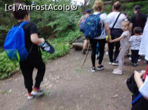[P24] Copii în excursie la Urlătoarea » foto by Mioritik
 - 
<span class="allrVoted glyphicon glyphicon-heart hidden" id="av1234307"></span>
<a class="m-l-10 hidden" id="sv1234307" onclick="voting_Foto_DelVot(,1234307,9594)" role="button">șterge vot <span class="glyphicon glyphicon-remove"></span></a>
<a id="v91234307" class=" c-red"  onclick="voting_Foto_SetVot(1234307)" role="button"><span class="glyphicon glyphicon-heart-empty"></span> <b>LIKE</b> = Votează poza</a> <img class="hidden"  id="f1234307W9" src="/imagini/loader.gif" border="0" /><span class="AjErrMes hidden" id="e1234307ErM"></span>