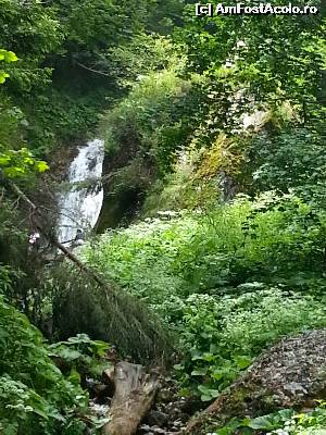 [P05] A aparut cascada! . Primul punct (inainte de podet) de unde se vede cascada » foto by Dan&Ema
 - 
<span class="allrVoted glyphicon glyphicon-heart hidden" id="av524437"></span>
<a class="m-l-10 hidden" id="sv524437" onclick="voting_Foto_DelVot(,524437,9594)" role="button">șterge vot <span class="glyphicon glyphicon-remove"></span></a>
<a id="v9524437" class=" c-red"  onclick="voting_Foto_SetVot(524437)" role="button"><span class="glyphicon glyphicon-heart-empty"></span> <b>LIKE</b> = Votează poza</a> <img class="hidden"  id="f524437W9" src="/imagini/loader.gif" border="0" /><span class="AjErrMes hidden" id="e524437ErM"></span>