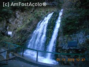 [P08] Cascada Urlatoarea » foto by zlatna
 - 
<span class="allrVoted glyphicon glyphicon-heart hidden" id="av709466"></span>
<a class="m-l-10 hidden" id="sv709466" onclick="voting_Foto_DelVot(,709466,9594)" role="button">șterge vot <span class="glyphicon glyphicon-remove"></span></a>
<a id="v9709466" class=" c-red"  onclick="voting_Foto_SetVot(709466)" role="button"><span class="glyphicon glyphicon-heart-empty"></span> <b>LIKE</b> = Votează poza</a> <img class="hidden"  id="f709466W9" src="/imagini/loader.gif" border="0" /><span class="AjErrMes hidden" id="e709466ErM"></span>