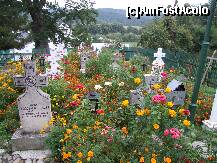 [P09] micul tintirim care inconjoara bisericuta » foto by recul*
 - 
<span class="allrVoted glyphicon glyphicon-heart hidden" id="av133146"></span>
<a class="m-l-10 hidden" id="sv133146" onclick="voting_Foto_DelVot(,133146,9645)" role="button">șterge vot <span class="glyphicon glyphicon-remove"></span></a>
<a id="v9133146" class=" c-red"  onclick="voting_Foto_SetVot(133146)" role="button"><span class="glyphicon glyphicon-heart-empty"></span> <b>LIKE</b> = Votează poza</a> <img class="hidden"  id="f133146W9" src="/imagini/loader.gif" border="0" /><span class="AjErrMes hidden" id="e133146ErM"></span>