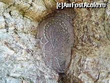 [P29] Iconita din stejar - vedere de aproape » foto by mario 110
 - 
<span class="allrVoted glyphicon glyphicon-heart hidden" id="av47322"></span>
<a class="m-l-10 hidden" id="sv47322" onclick="voting_Foto_DelVot(,47322,9645)" role="button">șterge vot <span class="glyphicon glyphicon-remove"></span></a>
<a id="v947322" class=" c-red"  onclick="voting_Foto_SetVot(47322)" role="button"><span class="glyphicon glyphicon-heart-empty"></span> <b>LIKE</b> = Votează poza</a> <img class="hidden"  id="f47322W9" src="/imagini/loader.gif" border="0" /><span class="AjErrMes hidden" id="e47322ErM"></span>