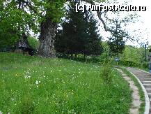 [P10] Treptele ce duc spre stejarii seculari si manastirea dintr-un lemn. » foto by vtudor58
 - 
<span class="allrVoted glyphicon glyphicon-heart hidden" id="av78416"></span>
<a class="m-l-10 hidden" id="sv78416" onclick="voting_Foto_DelVot(,78416,9645)" role="button">șterge vot <span class="glyphicon glyphicon-remove"></span></a>
<a id="v978416" class=" c-red"  onclick="voting_Foto_SetVot(78416)" role="button"><span class="glyphicon glyphicon-heart-empty"></span> <b>LIKE</b> = Votează poza</a> <img class="hidden"  id="f78416W9" src="/imagini/loader.gif" border="0" /><span class="AjErrMes hidden" id="e78416ErM"></span>