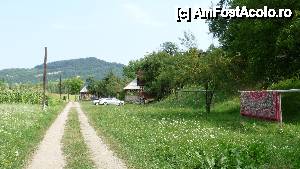 [P01] Meri, peri si pruni, in dreapta, bucataria de vara si foisorul unde se mananca, pe mijloc, in departare, casa proprietarilor pensiunii.  » foto by Robotzel*
 - 
<span class="allrVoted glyphicon glyphicon-heart hidden" id="av449544"></span>
<a class="m-l-10 hidden" id="sv449544" onclick="voting_Foto_DelVot(,449544,9719)" role="button">șterge vot <span class="glyphicon glyphicon-remove"></span></a>
<a id="v9449544" class=" c-red"  onclick="voting_Foto_SetVot(449544)" role="button"><span class="glyphicon glyphicon-heart-empty"></span> <b>LIKE</b> = Votează poza</a> <img class="hidden"  id="f449544W9" src="/imagini/loader.gif" border="0" /><span class="AjErrMes hidden" id="e449544ErM"></span>