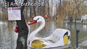 [P12] hidrobicicleta lebada » foto by Yolanda
 - 
<span class="allrVoted glyphicon glyphicon-heart hidden" id="av1507875"></span>
<a class="m-l-10 hidden" id="sv1507875" onclick="voting_Foto_DelVot(,1507875,9747)" role="button">șterge vot <span class="glyphicon glyphicon-remove"></span></a>
<a id="v91507875" class=" c-red"  onclick="voting_Foto_SetVot(1507875)" role="button"><span class="glyphicon glyphicon-heart-empty"></span> <b>LIKE</b> = Votează poza</a> <img class="hidden"  id="f1507875W9" src="/imagini/loader.gif" border="0" /><span class="AjErrMes hidden" id="e1507875ErM"></span>