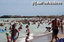 [P21] PLAJA COSTINESTI - ZIUA » foto by sorrynellul
 - 
<span class="allrVoted glyphicon glyphicon-heart hidden" id="av239484"></span>
<a class="m-l-10 hidden" id="sv239484" onclick="voting_Foto_DelVot(,239484,9753)" role="button">șterge vot <span class="glyphicon glyphicon-remove"></span></a>
<a id="v9239484" class=" c-red"  onclick="voting_Foto_SetVot(239484)" role="button"><span class="glyphicon glyphicon-heart-empty"></span> <b>LIKE</b> = Votează poza</a> <img class="hidden"  id="f239484W9" src="/imagini/loader.gif" border="0" /><span class="AjErrMes hidden" id="e239484ErM"></span>