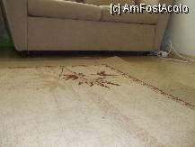 [P04] covorul cu par si praf (regret ca nu se vede mai bine) » foto by morocanoasa*
 - 
<span class="allrVoted glyphicon glyphicon-heart hidden" id="av239011"></span>
<a class="m-l-10 hidden" id="sv239011" onclick="voting_Foto_DelVot(,239011,9754)" role="button">șterge vot <span class="glyphicon glyphicon-remove"></span></a>
<a id="v9239011" class=" c-red"  onclick="voting_Foto_SetVot(239011)" role="button"><span class="glyphicon glyphicon-heart-empty"></span> <b>LIKE</b> = Votează poza</a> <img class="hidden"  id="f239011W9" src="/imagini/loader.gif" border="0" /><span class="AjErrMes hidden" id="e239011ErM"></span>