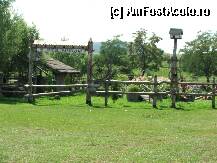 [P42]  -- <small>// FĂRĂ DESCRIERE</small> » foto by Rusalka
 - 
<span class="allrVoted glyphicon glyphicon-heart hidden" id="av239750"></span>
<a class="m-l-10 hidden" id="sv239750" onclick="voting_Foto_DelVot(,239750,9771)" role="button">șterge vot <span class="glyphicon glyphicon-remove"></span></a>
<a id="v9239750" class=" c-red"  onclick="voting_Foto_SetVot(239750)" role="button"><span class="glyphicon glyphicon-heart-empty"></span> <b>LIKE</b> = Votează poza</a> <img class="hidden"  id="f239750W9" src="/imagini/loader.gif" border="0" /><span class="AjErrMes hidden" id="e239750ErM"></span>