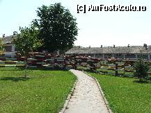 [P07]  -- <small>// FĂRĂ DESCRIERE</small> » foto by Rusalka
 - 
<span class="allrVoted glyphicon glyphicon-heart hidden" id="av239706"></span>
<a class="m-l-10 hidden" id="sv239706" onclick="voting_Foto_DelVot(,239706,9771)" role="button">șterge vot <span class="glyphicon glyphicon-remove"></span></a>
<a id="v9239706" class=" c-red"  onclick="voting_Foto_SetVot(239706)" role="button"><span class="glyphicon glyphicon-heart-empty"></span> <b>LIKE</b> = Votează poza</a> <img class="hidden"  id="f239706W9" src="/imagini/loader.gif" border="0" /><span class="AjErrMes hidden" id="e239706ErM"></span>