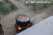 [P13] Borsul de peste - in pregatire. A fost delicios! » foto by cintus
 - 
<span class="allrVoted glyphicon glyphicon-heart hidden" id="av239885"></span>
<a class="m-l-10 hidden" id="sv239885" onclick="voting_Foto_DelVot(,239885,9775)" role="button">șterge vot <span class="glyphicon glyphicon-remove"></span></a>
<a id="v9239885" class=" c-red"  onclick="voting_Foto_SetVot(239885)" role="button"><span class="glyphicon glyphicon-heart-empty"></span> <b>LIKE</b> = Votează poza</a> <img class="hidden"  id="f239885W9" src="/imagini/loader.gif" border="0" /><span class="AjErrMes hidden" id="e239885ErM"></span>