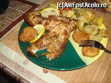 [P05] somn la gratar si chifyelute de stiuca!  » foto by aionescu
 - 
<span class="allrVoted glyphicon glyphicon-heart hidden" id="av381060"></span>
<a class="m-l-10 hidden" id="sv381060" onclick="voting_Foto_DelVot(,381060,9775)" role="button">șterge vot <span class="glyphicon glyphicon-remove"></span></a>
<a id="v9381060" class=" c-red"  onclick="voting_Foto_SetVot(381060)" role="button"><span class="glyphicon glyphicon-heart-empty"></span> <b>LIKE</b> = Votează poza</a> <img class="hidden"  id="f381060W9" src="/imagini/loader.gif" border="0" /><span class="AjErrMes hidden" id="e381060ErM"></span>
