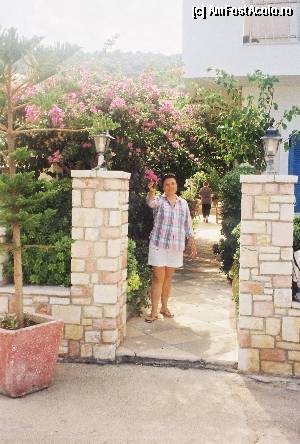 [P02] in gradina hotelului,langa trandafirul de Kefalonia si in spate trandafir japonez » foto by corneliaoprisan
 - 
<span class="allrVoted glyphicon glyphicon-heart hidden" id="av373333"></span>
<a class="m-l-10 hidden" id="sv373333" onclick="voting_Foto_DelVot(,373333,9781)" role="button">șterge vot <span class="glyphicon glyphicon-remove"></span></a>
<a id="v9373333" class=" c-red"  onclick="voting_Foto_SetVot(373333)" role="button"><span class="glyphicon glyphicon-heart-empty"></span> <b>LIKE</b> = Votează poza</a> <img class="hidden"  id="f373333W9" src="/imagini/loader.gif" border="0" /><span class="AjErrMes hidden" id="e373333ErM"></span>