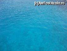[P31] Culoarea apei » foto by cod_take
 - 
<span class="allrVoted glyphicon glyphicon-heart hidden" id="av240181"></span>
<a class="m-l-10 hidden" id="sv240181" onclick="voting_Foto_DelVot(,240181,9781)" role="button">șterge vot <span class="glyphicon glyphicon-remove"></span></a>
<a id="v9240181" class=" c-red"  onclick="voting_Foto_SetVot(240181)" role="button"><span class="glyphicon glyphicon-heart-empty"></span> <b>LIKE</b> = Votează poza</a> <img class="hidden"  id="f240181W9" src="/imagini/loader.gif" border="0" /><span class="AjErrMes hidden" id="e240181ErM"></span>
