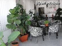 [P03] Canapeau cu fotolii gri-negru, baruletul mai in spate si acvariul in stanga ,,acoperit'' de multimea plantelor interioare » foto by dananecula*
 - 
<span class="allrVoted glyphicon glyphicon-heart hidden" id="av255337"></span>
<a class="m-l-10 hidden" id="sv255337" onclick="voting_Foto_DelVot(,255337,9854)" role="button">șterge vot <span class="glyphicon glyphicon-remove"></span></a>
<a id="v9255337" class=" c-red"  onclick="voting_Foto_SetVot(255337)" role="button"><span class="glyphicon glyphicon-heart-empty"></span> <b>LIKE</b> = Votează poza</a> <img class="hidden"  id="f255337W9" src="/imagini/loader.gif" border="0" /><span class="AjErrMes hidden" id="e255337ErM"></span>