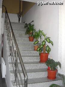 [P05] Asa cum am povestit scara plina de ghivece cu plante decorative » foto by dananecula*
 - 
<span class="allrVoted glyphicon glyphicon-heart hidden" id="av255339"></span>
<a class="m-l-10 hidden" id="sv255339" onclick="voting_Foto_DelVot(,255339,9854)" role="button">șterge vot <span class="glyphicon glyphicon-remove"></span></a>
<a id="v9255339" class=" c-red"  onclick="voting_Foto_SetVot(255339)" role="button"><span class="glyphicon glyphicon-heart-empty"></span> <b>LIKE</b> = Votează poza</a> <img class="hidden"  id="f255339W9" src="/imagini/loader.gif" border="0" /><span class="AjErrMes hidden" id="e255339ErM"></span>