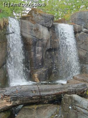 [P14] Stockholm, Skansen, Zona animalelor nordice – pădurea sălbatică » foto by mprofeanu
 - 
<span class="allrVoted glyphicon glyphicon-heart hidden" id="av1516487"></span>
<a class="m-l-10 hidden" id="sv1516487" onclick="voting_Foto_DelVot(,1516487,9962)" role="button">șterge vot <span class="glyphicon glyphicon-remove"></span></a>
<a id="v91516487" class=" c-red"  onclick="voting_Foto_SetVot(1516487)" role="button"><span class="glyphicon glyphicon-heart-empty"></span> <b>LIKE</b> = Votează poza</a> <img class="hidden"  id="f1516487W9" src="/imagini/loader.gif" border="0" /><span class="AjErrMes hidden" id="e1516487ErM"></span>