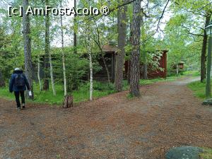 [P37] Stockholm, Skansen, pe alei » foto by mprofeanu
 - 
<span class="allrVoted glyphicon glyphicon-heart hidden" id="av1516510"></span>
<a class="m-l-10 hidden" id="sv1516510" onclick="voting_Foto_DelVot(,1516510,9962)" role="button">șterge vot <span class="glyphicon glyphicon-remove"></span></a>
<a id="v91516510" class=" c-red"  onclick="voting_Foto_SetVot(1516510)" role="button"><span class="glyphicon glyphicon-heart-empty"></span> <b>LIKE</b> = Votează poza</a> <img class="hidden"  id="f1516510W9" src="/imagini/loader.gif" border="0" /><span class="AjErrMes hidden" id="e1516510ErM"></span>