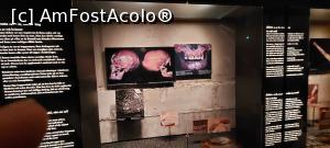 [P45] 45. Explicații cum au fost reconstruite chipurile marinarilor decedați pe Vasa. » foto by msnd
 - 
<span class="allrVoted glyphicon glyphicon-heart hidden" id="av1321315"></span>
<a class="m-l-10 hidden" id="sv1321315" onclick="voting_Foto_DelVot(,1321315,9962)" role="button">șterge vot <span class="glyphicon glyphicon-remove"></span></a>
<a id="v91321315" class=" c-red"  onclick="voting_Foto_SetVot(1321315)" role="button"><span class="glyphicon glyphicon-heart-empty"></span> <b>LIKE</b> = Votează poza</a> <img class="hidden"  id="f1321315W9" src="/imagini/loader.gif" border="0" /><span class="AjErrMes hidden" id="e1321315ErM"></span>