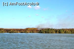 [P03] Incendiu vegetație (stuf). » foto by Niki1
 - 
<span class="allrVoted glyphicon glyphicon-heart hidden" id="av1332978"></span>
<a class="m-l-10 hidden" id="sv1332978" onclick="voting_Foto_DelVot(,1332978,9973)" role="button">șterge vot <span class="glyphicon glyphicon-remove"></span></a>
<a id="v91332978" class=" c-red"  onclick="voting_Foto_SetVot(1332978)" role="button"><span class="glyphicon glyphicon-heart-empty"></span> <b>LIKE</b> = Votează poza</a> <img class="hidden"  id="f1332978W9" src="/imagini/loader.gif" border="0" /><span class="AjErrMes hidden" id="e1332978ErM"></span>
