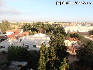 [P11] Hotel Pineta Palace - împrejurimile hotelului » foto by sunflower
 - 
<span class="allrVoted glyphicon glyphicon-heart hidden" id="av524440"></span>
<a class="m-l-10 hidden" id="sv524440" onclick="voting_Foto_DelVot(,524440,9979)" role="button">șterge vot <span class="glyphicon glyphicon-remove"></span></a>
<a id="v9524440" class=" c-red"  onclick="voting_Foto_SetVot(524440)" role="button"><span class="glyphicon glyphicon-heart-empty"></span> <b>LIKE</b> = Votează poza</a> <img class="hidden"  id="f524440W9" src="/imagini/loader.gif" border="0" /><span class="AjErrMes hidden" id="e524440ErM"></span>