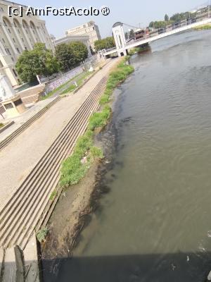 [P13] Raul Vardar » foto by fredutza
 - 
<span class="allrVoted glyphicon glyphicon-heart hidden" id="av1500277"></span>
<a class="m-l-10 hidden" id="sv1500277" onclick="voting_Foto_DelVot(,1500277,10053)" role="button">șterge vot <span class="glyphicon glyphicon-remove"></span></a>
<a id="v91500277" class=" c-red"  onclick="voting_Foto_SetVot(1500277)" role="button"><span class="glyphicon glyphicon-heart-empty"></span> <b>LIKE</b> = Votează poza</a> <img class="hidden"  id="f1500277W9" src="/imagini/loader.gif" border="0" /><span class="AjErrMes hidden" id="e1500277ErM"></span>