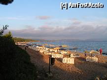 [P12] Metamorfossi » foto by ionescunic
 - 
<span class="allrVoted glyphicon glyphicon-heart hidden" id="av307640"></span>
<a class="m-l-10 hidden" id="sv307640" onclick="voting_Foto_DelVot(,307640,10079)" role="button">șterge vot <span class="glyphicon glyphicon-remove"></span></a>
<a id="v9307640" class=" c-red"  onclick="voting_Foto_SetVot(307640)" role="button"><span class="glyphicon glyphicon-heart-empty"></span> <b>LIKE</b> = Votează poza</a> <img class="hidden"  id="f307640W9" src="/imagini/loader.gif" border="0" /><span class="AjErrMes hidden" id="e307640ErM"></span>