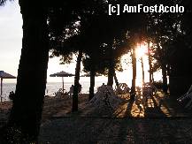 [P13] Metamorfossi » foto by ionescunic
 - 
<span class="allrVoted glyphicon glyphicon-heart hidden" id="av307641"></span>
<a class="m-l-10 hidden" id="sv307641" onclick="voting_Foto_DelVot(,307641,10079)" role="button">șterge vot <span class="glyphicon glyphicon-remove"></span></a>
<a id="v9307641" class=" c-red"  onclick="voting_Foto_SetVot(307641)" role="button"><span class="glyphicon glyphicon-heart-empty"></span> <b>LIKE</b> = Votează poza</a> <img class="hidden"  id="f307641W9" src="/imagini/loader.gif" border="0" /><span class="AjErrMes hidden" id="e307641ErM"></span>