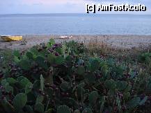 [P19] Metamorfossi » foto by ionescunic
 - 
<span class="allrVoted glyphicon glyphicon-heart hidden" id="av307647"></span>
<a class="m-l-10 hidden" id="sv307647" onclick="voting_Foto_DelVot(,307647,10079)" role="button">șterge vot <span class="glyphicon glyphicon-remove"></span></a>
<a id="v9307647" class=" c-red"  onclick="voting_Foto_SetVot(307647)" role="button"><span class="glyphicon glyphicon-heart-empty"></span> <b>LIKE</b> = Votează poza</a> <img class="hidden"  id="f307647W9" src="/imagini/loader.gif" border="0" /><span class="AjErrMes hidden" id="e307647ErM"></span>