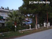 [P24] Metamorfossi » foto by ionescunic
 - 
<span class="allrVoted glyphicon glyphicon-heart hidden" id="av307652"></span>
<a class="m-l-10 hidden" id="sv307652" onclick="voting_Foto_DelVot(,307652,10079)" role="button">șterge vot <span class="glyphicon glyphicon-remove"></span></a>
<a id="v9307652" class=" c-red"  onclick="voting_Foto_SetVot(307652)" role="button"><span class="glyphicon glyphicon-heart-empty"></span> <b>LIKE</b> = Votează poza</a> <img class="hidden"  id="f307652W9" src="/imagini/loader.gif" border="0" /><span class="AjErrMes hidden" id="e307652ErM"></span>