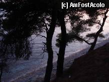 [P28] Metamorfossi » foto by ionescunic
 - 
<span class="allrVoted glyphicon glyphicon-heart hidden" id="av307656"></span>
<a class="m-l-10 hidden" id="sv307656" onclick="voting_Foto_DelVot(,307656,10079)" role="button">șterge vot <span class="glyphicon glyphicon-remove"></span></a>
<a id="v9307656" class=" c-red"  onclick="voting_Foto_SetVot(307656)" role="button"><span class="glyphicon glyphicon-heart-empty"></span> <b>LIKE</b> = Votează poza</a> <img class="hidden"  id="f307656W9" src="/imagini/loader.gif" border="0" /><span class="AjErrMes hidden" id="e307656ErM"></span>