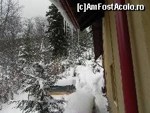 [P04] În partea asta singurul vecin este o pădurice. Pe lîngă casă erau stivuite lemne destule să treci 2 ierni.  » foto by abancor
 - 
<span class="allrVoted glyphicon glyphicon-heart hidden" id="av430623"></span>
<a class="m-l-10 hidden" id="sv430623" onclick="voting_Foto_DelVot(,430623,10125)" role="button">șterge vot <span class="glyphicon glyphicon-remove"></span></a>
<a id="v9430623" class=" c-red"  onclick="voting_Foto_SetVot(430623)" role="button"><span class="glyphicon glyphicon-heart-empty"></span> <b>LIKE</b> = Votează poza</a> <img class="hidden"  id="f430623W9" src="/imagini/loader.gif" border="0" /><span class="AjErrMes hidden" id="e430623ErM"></span>