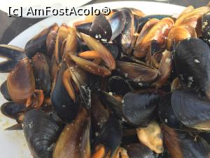 [P10] scoicile mele delicioase la care am muncit mai mult decat am mancat » foto by Dan&Ema
 - 
<span class="allrVoted glyphicon glyphicon-heart hidden" id="av856611"></span>
<a class="m-l-10 hidden" id="sv856611" onclick="voting_Foto_DelVot(,856611,10168)" role="button">șterge vot <span class="glyphicon glyphicon-remove"></span></a>
<a id="v9856611" class=" c-red"  onclick="voting_Foto_SetVot(856611)" role="button"><span class="glyphicon glyphicon-heart-empty"></span> <b>LIKE</b> = Votează poza</a> <img class="hidden"  id="f856611W9" src="/imagini/loader.gif" border="0" /><span class="AjErrMes hidden" id="e856611ErM"></span>