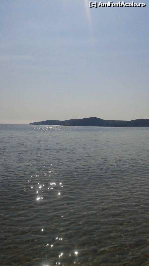 [P01]  -- <small>// FĂRĂ DESCRIERE</small> » foto by mirelasam
 - 
<span class="allrVoted glyphicon glyphicon-heart hidden" id="av653162"></span>
<a class="m-l-10 hidden" id="sv653162" onclick="voting_Foto_DelVot(,653162,10181)" role="button">șterge vot <span class="glyphicon glyphicon-remove"></span></a>
<a id="v9653162" class=" c-red"  onclick="voting_Foto_SetVot(653162)" role="button"><span class="glyphicon glyphicon-heart-empty"></span> <b>LIKE</b> = Votează poza</a> <img class="hidden"  id="f653162W9" src="/imagini/loader.gif" border="0" /><span class="AjErrMes hidden" id="e653162ErM"></span>