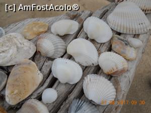 [P06]  -- <small>// FĂRĂ DESCRIERE</small> » foto by Corin7
 - 
<span class="allrVoted glyphicon glyphicon-heart hidden" id="av927191"></span>
<a class="m-l-10 hidden" id="sv927191" onclick="voting_Foto_DelVot(,927191,10181)" role="button">șterge vot <span class="glyphicon glyphicon-remove"></span></a>
<a id="v9927191" class=" c-red"  onclick="voting_Foto_SetVot(927191)" role="button"><span class="glyphicon glyphicon-heart-empty"></span> <b>LIKE</b> = Votează poza</a> <img class="hidden"  id="f927191W9" src="/imagini/loader.gif" border="0" /><span class="AjErrMes hidden" id="e927191ErM"></span>