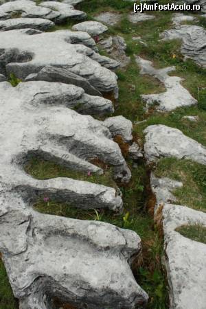 [P21] Limestone la Poulnabrone Dolmen » foto by ariciu*
 - 
<span class="allrVoted glyphicon glyphicon-heart hidden" id="av511337"></span>
<a class="m-l-10 hidden" id="sv511337" onclick="voting_Foto_DelVot(,511337,10242)" role="button">șterge vot <span class="glyphicon glyphicon-remove"></span></a>
<a id="v9511337" class=" c-red"  onclick="voting_Foto_SetVot(511337)" role="button"><span class="glyphicon glyphicon-heart-empty"></span> <b>LIKE</b> = Votează poza</a> <img class="hidden"  id="f511337W9" src="/imagini/loader.gif" border="0" /><span class="AjErrMes hidden" id="e511337ErM"></span>
