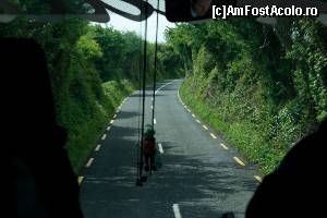 [P26] Pe drum spre Cliffs of Moher » foto by ariciu*
 - 
<span class="allrVoted glyphicon glyphicon-heart hidden" id="av511342"></span>
<a class="m-l-10 hidden" id="sv511342" onclick="voting_Foto_DelVot(,511342,10242)" role="button">șterge vot <span class="glyphicon glyphicon-remove"></span></a>
<a id="v9511342" class=" c-red"  onclick="voting_Foto_SetVot(511342)" role="button"><span class="glyphicon glyphicon-heart-empty"></span> <b>LIKE</b> = Votează poza</a> <img class="hidden"  id="f511342W9" src="/imagini/loader.gif" border="0" /><span class="AjErrMes hidden" id="e511342ErM"></span>