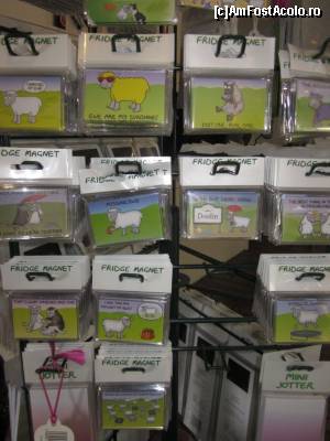 [P40] Magneți tematici cu oițe prietene...  » foto by ariciu*
 - 
<span class="allrVoted glyphicon glyphicon-heart hidden" id="av511356"></span>
<a class="m-l-10 hidden" id="sv511356" onclick="voting_Foto_DelVot(,511356,10242)" role="button">șterge vot <span class="glyphicon glyphicon-remove"></span></a>
<a id="v9511356" class=" c-red"  onclick="voting_Foto_SetVot(511356)" role="button"><span class="glyphicon glyphicon-heart-empty"></span> <b>LIKE</b> = Votează poza</a> <img class="hidden"  id="f511356W9" src="/imagini/loader.gif" border="0" /><span class="AjErrMes hidden" id="e511356ErM"></span>