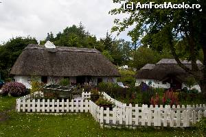 [P17] Un alt coltisor de Connemara » foto by DOINITA
 - 
<span class="allrVoted glyphicon glyphicon-heart hidden" id="av659221"></span>
<a class="m-l-10 hidden" id="sv659221" onclick="voting_Foto_DelVot(,659221,10242)" role="button">șterge vot <span class="glyphicon glyphicon-remove"></span></a>
<a id="v9659221" class=" c-red"  onclick="voting_Foto_SetVot(659221)" role="button"><span class="glyphicon glyphicon-heart-empty"></span> <b>LIKE</b> = Votează poza</a> <img class="hidden"  id="f659221W9" src="/imagini/loader.gif" border="0" /><span class="AjErrMes hidden" id="e659221ErM"></span>