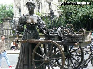 [P26] Molly a ramas cu cosurile goale.  » foto by DOINITA
 - 
<span class="allrVoted glyphicon glyphicon-heart hidden" id="av659459"></span>
<a class="m-l-10 hidden" id="sv659459" onclick="voting_Foto_DelVot(,659459,10242)" role="button">șterge vot <span class="glyphicon glyphicon-remove"></span></a>
<a id="v9659459" class=" c-red"  onclick="voting_Foto_SetVot(659459)" role="button"><span class="glyphicon glyphicon-heart-empty"></span> <b>LIKE</b> = Votează poza</a> <img class="hidden"  id="f659459W9" src="/imagini/loader.gif" border="0" /><span class="AjErrMes hidden" id="e659459ErM"></span>