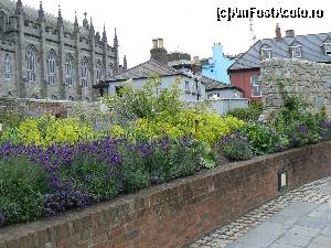 [P32] Si chiar era placut!  » foto by DOINITA
 - 
<span class="allrVoted glyphicon glyphicon-heart hidden" id="av659467"></span>
<a class="m-l-10 hidden" id="sv659467" onclick="voting_Foto_DelVot(,659467,10242)" role="button">șterge vot <span class="glyphicon glyphicon-remove"></span></a>
<a id="v9659467" class=" c-red"  onclick="voting_Foto_SetVot(659467)" role="button"><span class="glyphicon glyphicon-heart-empty"></span> <b>LIKE</b> = Votează poza</a> <img class="hidden"  id="f659467W9" src="/imagini/loader.gif" border="0" /><span class="AjErrMes hidden" id="e659467ErM"></span>