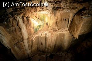 [P21] Aillwee - » foto by makuy*
 - 
<span class="allrVoted glyphicon glyphicon-heart hidden" id="av786301"></span>
<a class="m-l-10 hidden" id="sv786301" onclick="voting_Foto_DelVot(,786301,10242)" role="button">șterge vot <span class="glyphicon glyphicon-remove"></span></a>
<a id="v9786301" class=" c-red"  onclick="voting_Foto_SetVot(786301)" role="button"><span class="glyphicon glyphicon-heart-empty"></span> <b>LIKE</b> = Votează poza</a> <img class="hidden"  id="f786301W9" src="/imagini/loader.gif" border="0" /><span class="AjErrMes hidden" id="e786301ErM"></span>