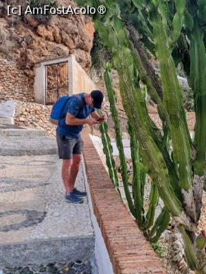 [P11]  -- <small>// FĂRĂ DESCRIERE</small> » foto by Maya_C
 - 
<span class="allrVoted glyphicon glyphicon-heart hidden" id="av1503513"></span>
<a class="m-l-10 hidden" id="sv1503513" onclick="voting_Foto_DelVot(,1503513,10280)" role="button">șterge vot <span class="glyphicon glyphicon-remove"></span></a>
<a id="v91503513" class=" c-red"  onclick="voting_Foto_SetVot(1503513)" role="button"><span class="glyphicon glyphicon-heart-empty"></span> <b>LIKE</b> = Votează poza</a> <img class="hidden"  id="f1503513W9" src="/imagini/loader.gif" border="0" /><span class="AjErrMes hidden" id="e1503513ErM"></span>