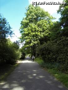 [P25] Fel de fel de copaci. Poza facuta din Kew Explorer. » foto by TraianS
 - 
<span class="allrVoted glyphicon glyphicon-heart hidden" id="av222866"></span>
<a class="m-l-10 hidden" id="sv222866" onclick="voting_Foto_DelVot(,222866,10282)" role="button">șterge vot <span class="glyphicon glyphicon-remove"></span></a>
<a id="v9222866" class=" c-red"  onclick="voting_Foto_SetVot(222866)" role="button"><span class="glyphicon glyphicon-heart-empty"></span> <b>LIKE</b> = Votează poza</a> <img class="hidden"  id="f222866W9" src="/imagini/loader.gif" border="0" /><span class="AjErrMes hidden" id="e222866ErM"></span>