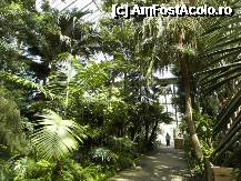 [P33] The Temperate House. » foto by TraianS
 - 
<span class="allrVoted glyphicon glyphicon-heart hidden" id="av222879"></span>
<a class="m-l-10 hidden" id="sv222879" onclick="voting_Foto_DelVot(,222879,10282)" role="button">șterge vot <span class="glyphicon glyphicon-remove"></span></a>
<a id="v9222879" class=" c-red"  onclick="voting_Foto_SetVot(222879)" role="button"><span class="glyphicon glyphicon-heart-empty"></span> <b>LIKE</b> = Votează poza</a> <img class="hidden"  id="f222879W9" src="/imagini/loader.gif" border="0" /><span class="AjErrMes hidden" id="e222879ErM"></span>