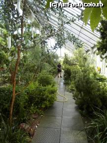 [P36] The Temperate House. Om la lucru. » foto by TraianS
 - 
<span class="allrVoted glyphicon glyphicon-heart hidden" id="av222882"></span>
<a class="m-l-10 hidden" id="sv222882" onclick="voting_Foto_DelVot(,222882,10282)" role="button">șterge vot <span class="glyphicon glyphicon-remove"></span></a>
<a id="v9222882" class=" c-red"  onclick="voting_Foto_SetVot(222882)" role="button"><span class="glyphicon glyphicon-heart-empty"></span> <b>LIKE</b> = Votează poza</a> <img class="hidden"  id="f222882W9" src="/imagini/loader.gif" border="0" /><span class="AjErrMes hidden" id="e222882ErM"></span>