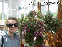 [P37] The Temperate House. » foto by TraianS
 - 
<span class="allrVoted glyphicon glyphicon-heart hidden" id="av222884"></span>
<a class="m-l-10 hidden" id="sv222884" onclick="voting_Foto_DelVot(,222884,10282)" role="button">șterge vot <span class="glyphicon glyphicon-remove"></span></a>
<a id="v9222884" class=" c-red"  onclick="voting_Foto_SetVot(222884)" role="button"><span class="glyphicon glyphicon-heart-empty"></span> <b>LIKE</b> = Votează poza</a> <img class="hidden"  id="f222884W9" src="/imagini/loader.gif" border="0" /><span class="AjErrMes hidden" id="e222884ErM"></span>