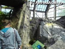 [P41] Cum intri, stanci si pietre goale iti arata cum era viata pe Terra inaintea aparitiei vietii. Sunetele intregesc experienta. » foto by TraianS
 - 
<span class="allrVoted glyphicon glyphicon-heart hidden" id="av222894"></span>
<a class="m-l-10 hidden" id="sv222894" onclick="voting_Foto_DelVot(,222894,10282)" role="button">șterge vot <span class="glyphicon glyphicon-remove"></span></a>
<a id="v9222894" class=" c-red"  onclick="voting_Foto_SetVot(222894)" role="button"><span class="glyphicon glyphicon-heart-empty"></span> <b>LIKE</b> = Votează poza</a> <img class="hidden"  id="f222894W9" src="/imagini/loader.gif" border="0" /><span class="AjErrMes hidden" id="e222894ErM"></span>